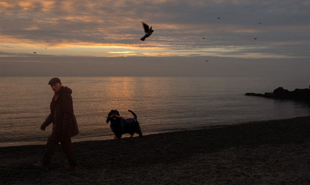 Фотографія Гризлік на прогулянці / Крутий Николай / photographers.ua