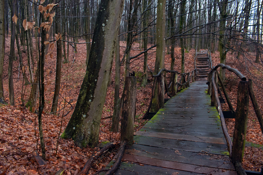 Фотографія коли нікому не потрібний ... / Крутий Николай / photographers.ua