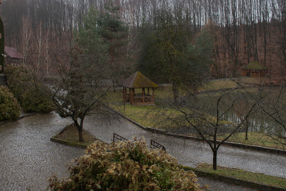 Фотографія Колір дощу / Крутий Николай / photographers.ua