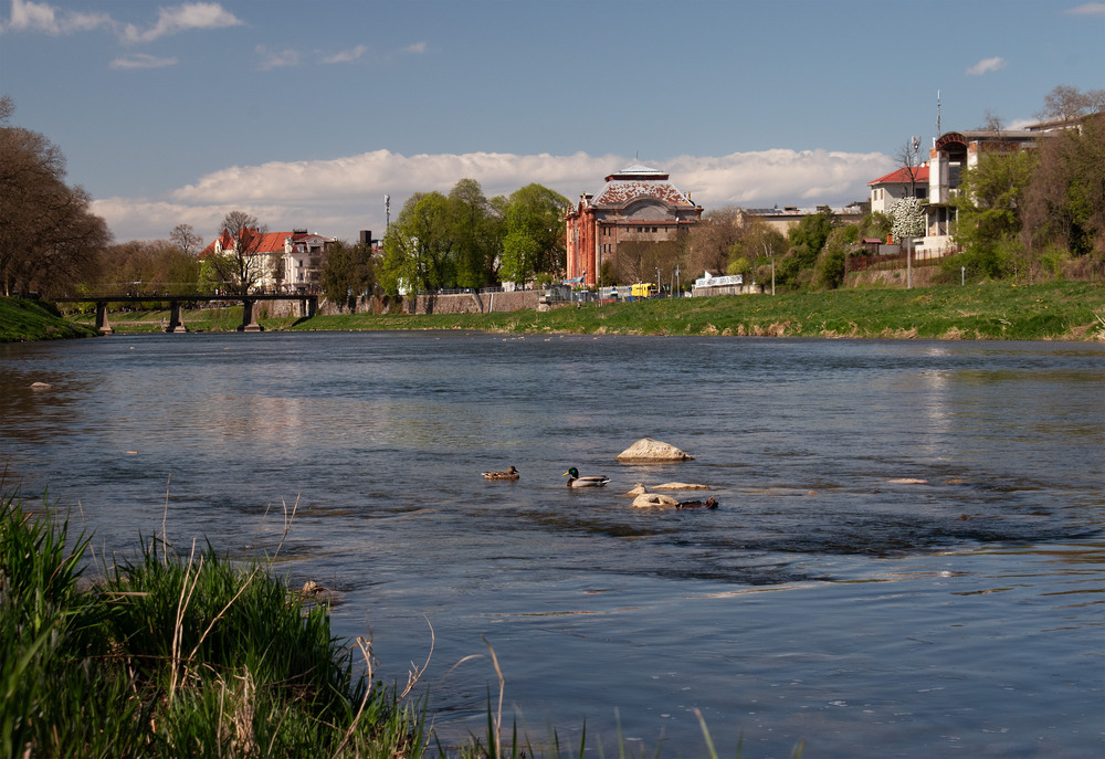 Фотографія Квітневий день / Крутий Николай / photographers.ua