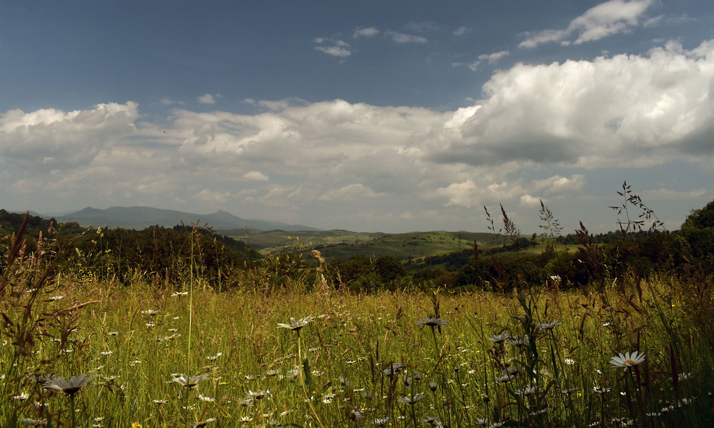 Фотографія Літо в Карпатах / Крутий Николай / photographers.ua