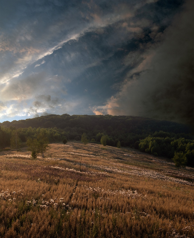 Фотографія маленьке поле / Крутий Николай / photographers.ua