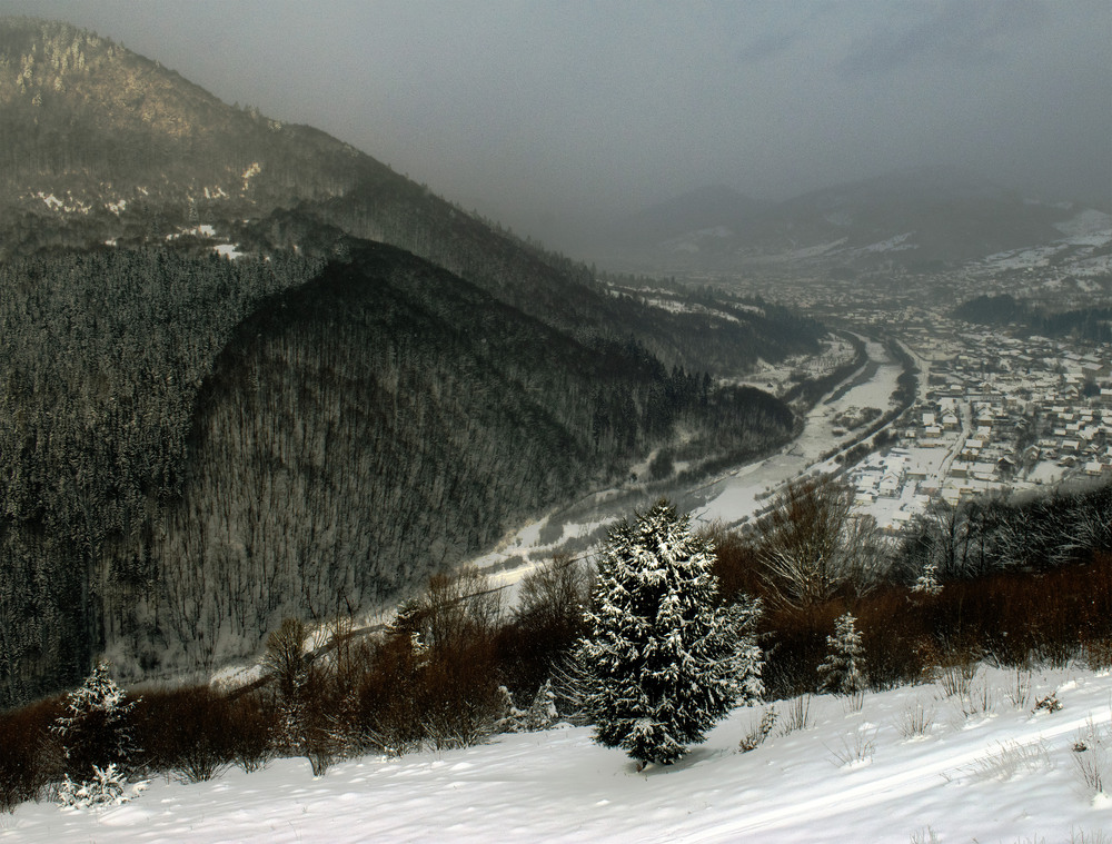Фотографія Міжгір'я (Закарпатська область) / Крутий Николай / photographers.ua