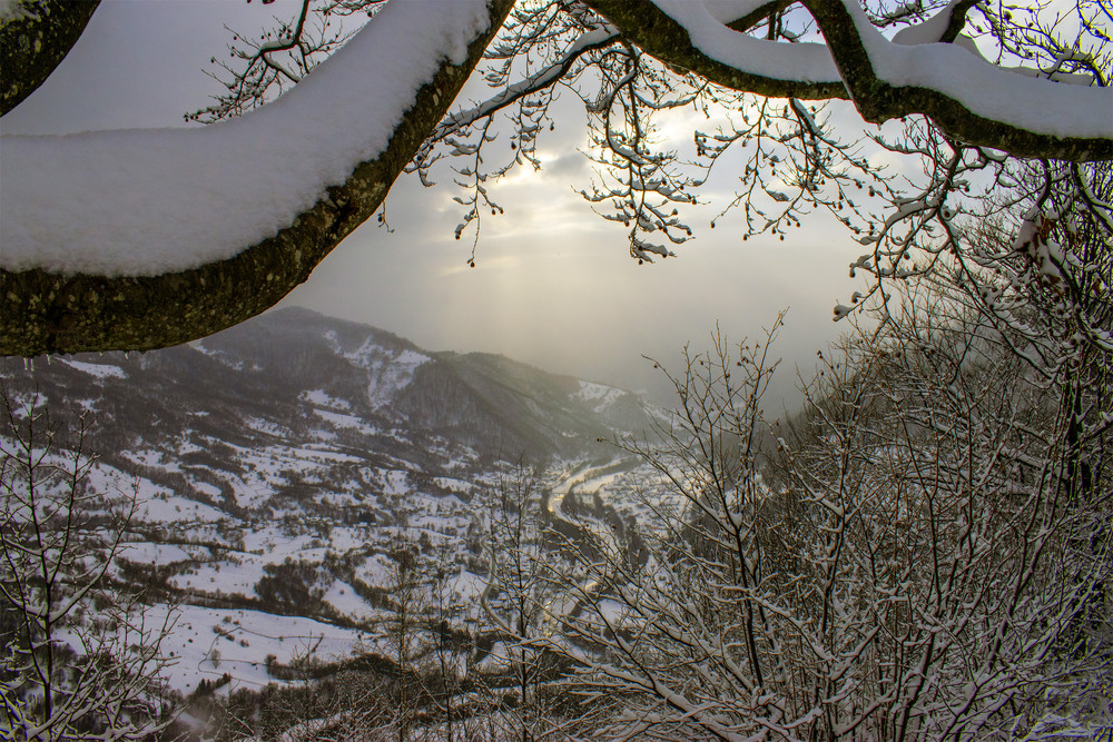 Фотографія Міжгір'я 2 / Крутий Николай / photographers.ua