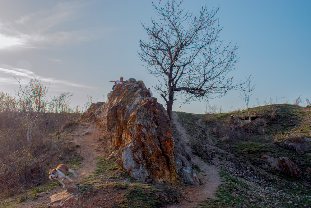 Фотографія біля гірського озера / Крутий Николай / photographers.ua