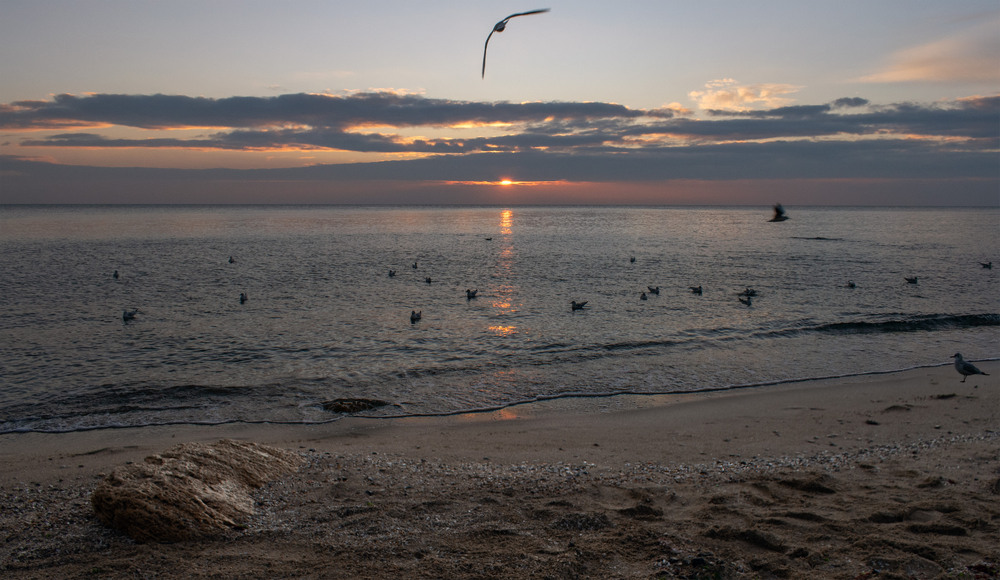 Фотографія Море вранці / Крутий Николай / photographers.ua
