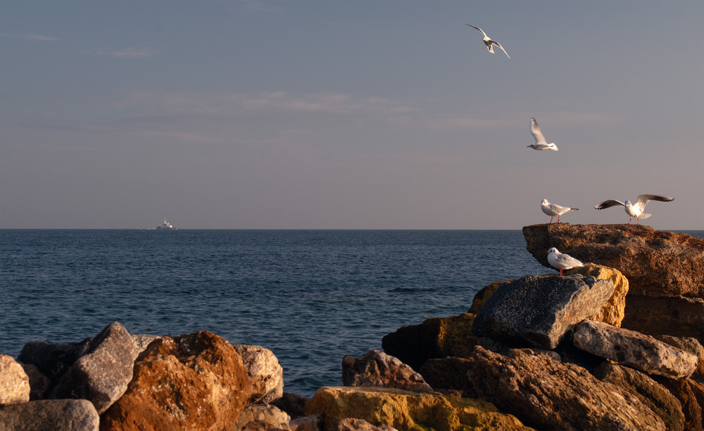 Фотографія Мертвий сезон / Крутий Николай / photographers.ua