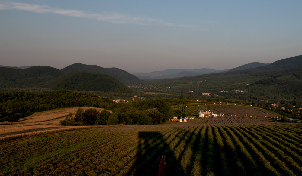 Фотографія ось і вечір ... / Крутий Николай / photographers.ua