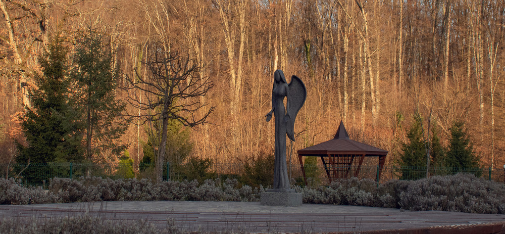 Фотографія Парк скульптур / Крутий Николай / photographers.ua