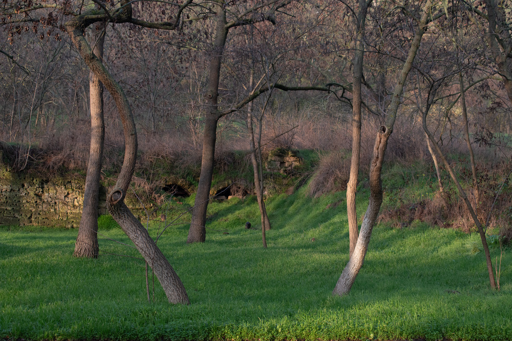 Фотографія сонячний ранок / Крутий Николай / photographers.ua