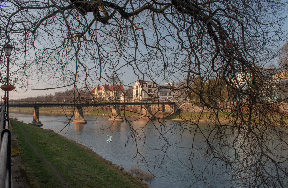 Фотографія Весна у гостях у Березня / Крутий Николай / photographers.ua