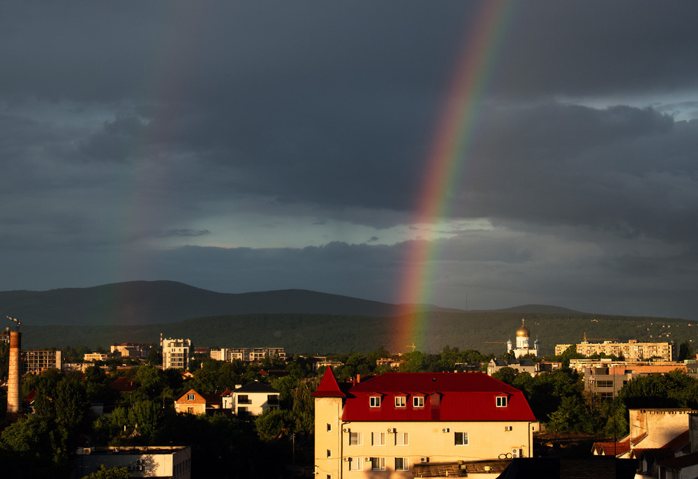 Фотографія Після дощика / Крутий Николай / photographers.ua