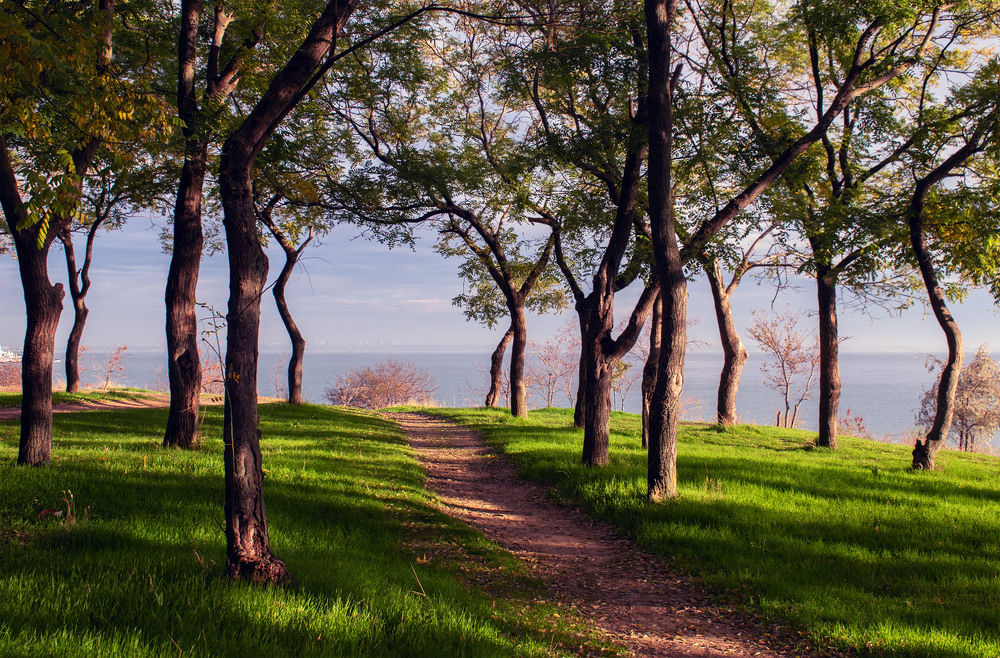 Фотографія перлина біля моря / Крутий Николай / photographers.ua