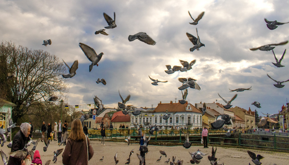 Фотографія площа Театральна / Крутий Николай / photographers.ua