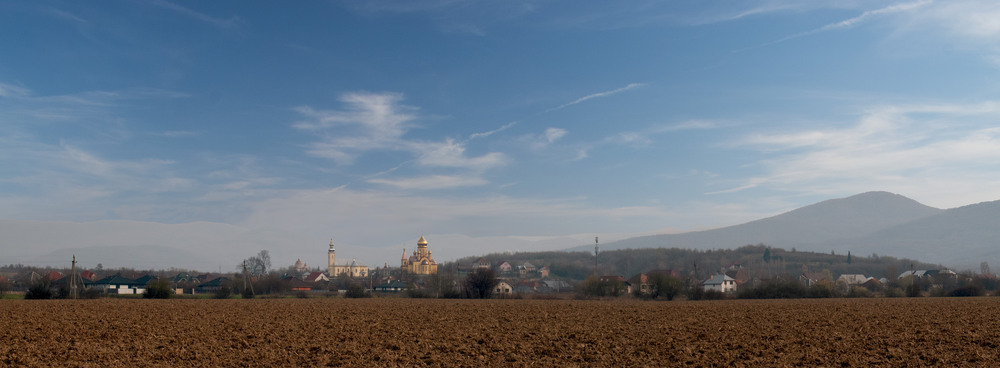 Фотографія Поля Закарпаття / Крутий Николай / photographers.ua