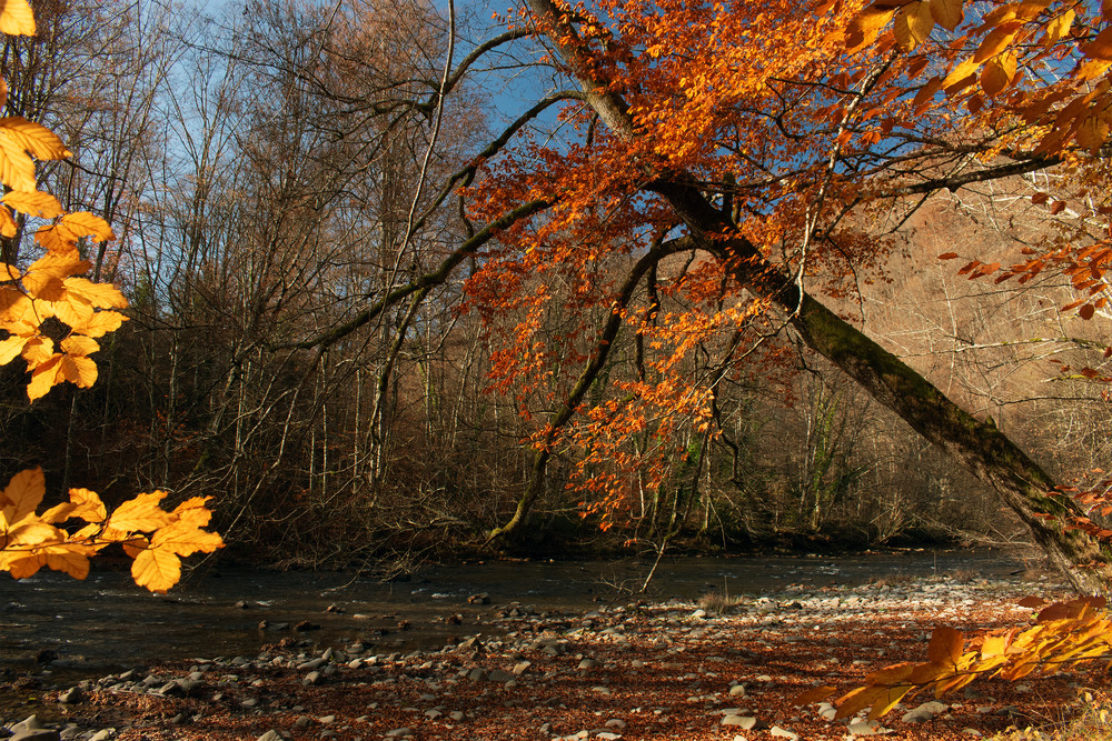 Фотографія річка Люта / Крутий Николай / photographers.ua