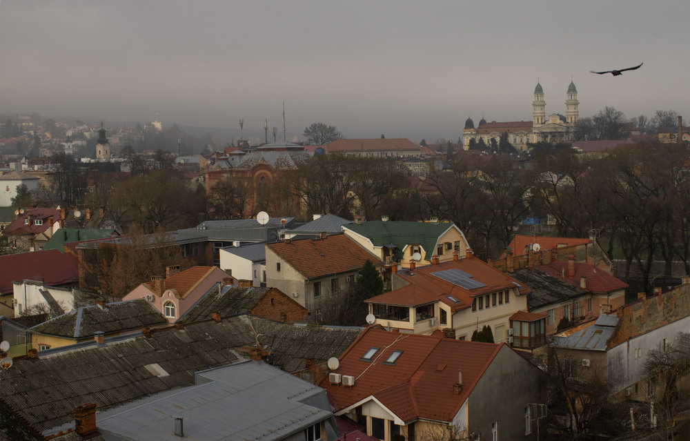 Фотографія розпогодилось / Крутий Николай / photographers.ua