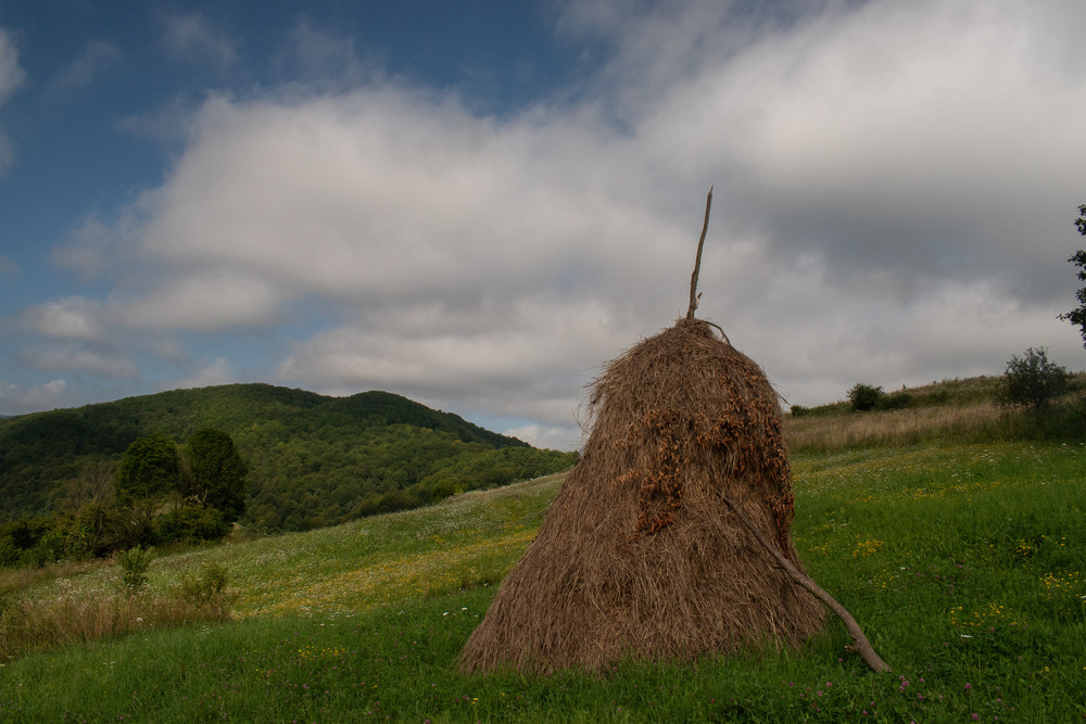 Фотографія Серпень / Крутий Николай / photographers.ua