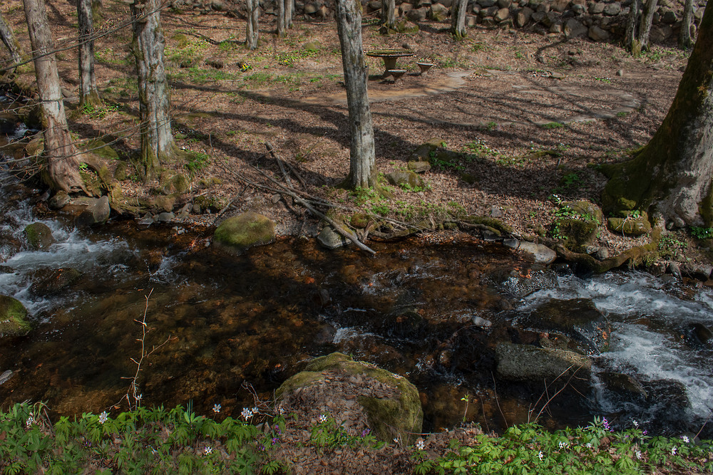 Фотографія Річка Мате́кова / Крутий Николай / photographers.ua