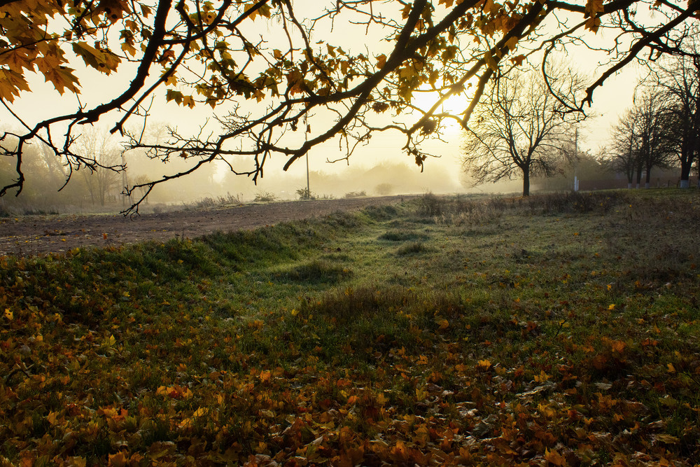 Фотографія на Малій Батьківщині / Крутий Николай / photographers.ua