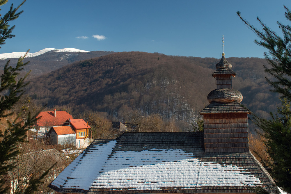 Фотографія сонячно / Крутий Николай / photographers.ua