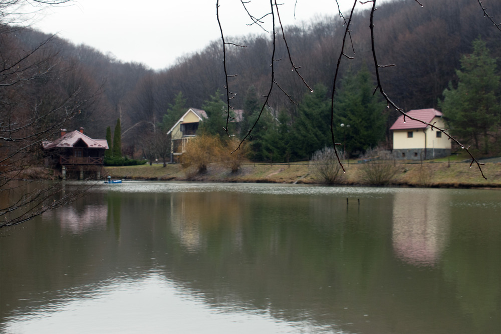 Фотографія Термал Стар (21.02. 26) / Крутий Николай / photographers.ua