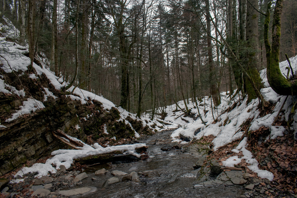 Фотографія Туриця в лютому / Крутий Николай / photographers.ua