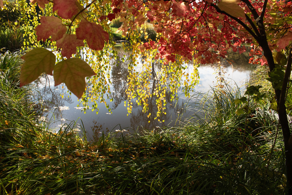 Фотографія спогади про осінь / Крутий Николай / photographers.ua