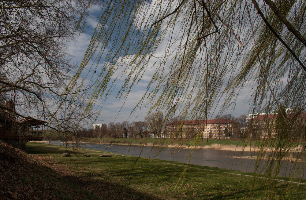 Фотографія вітряний день / Крутий Николай / photographers.ua