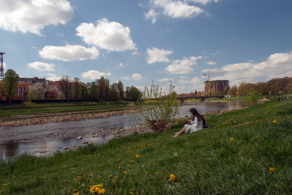 Фотографія Сезон  кульбаб / Крутий Николай / photographers.ua