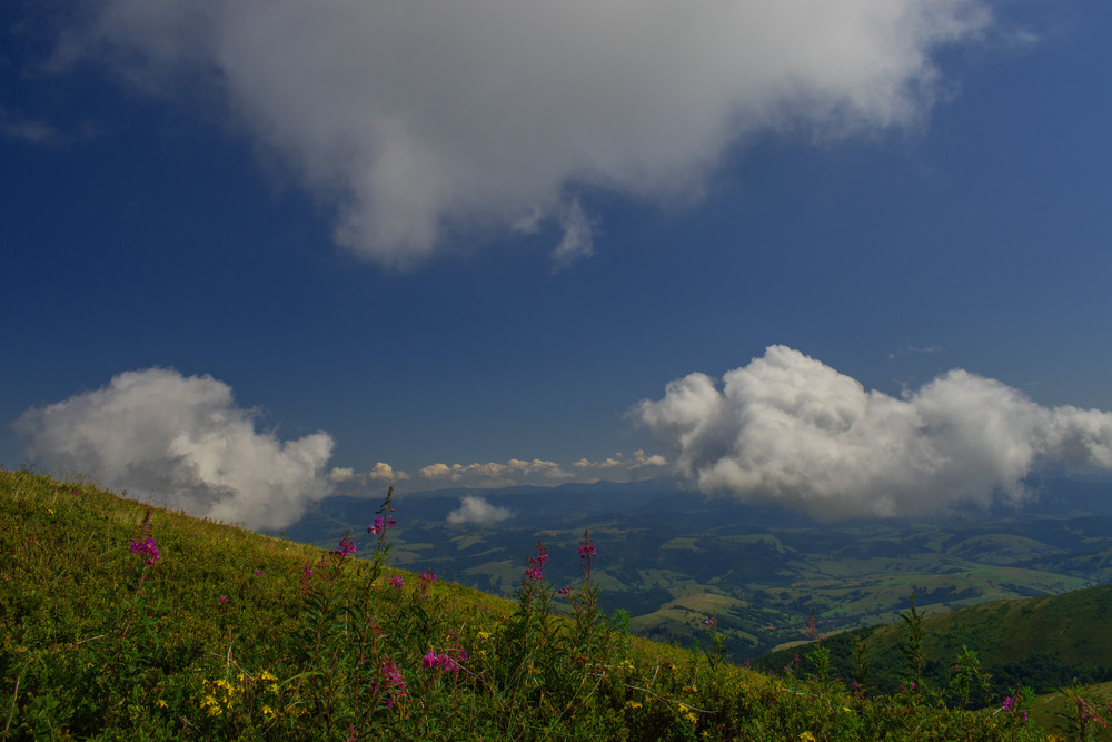 Фотографія спогади про літо / Крутий Николай / photographers.ua