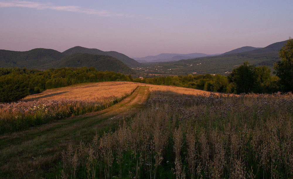 Фотографія Закарпатці орють і  сіють / Крутий Николай / photographers.ua