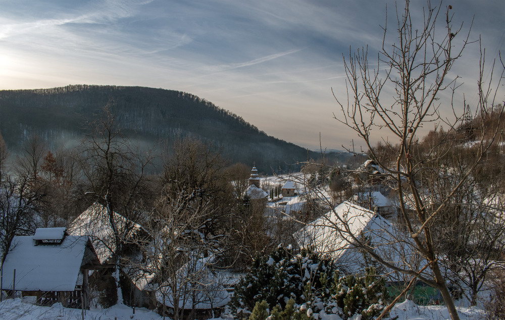 Фотографія про яблучко на дереві ... / Крутий Николай / photographers.ua