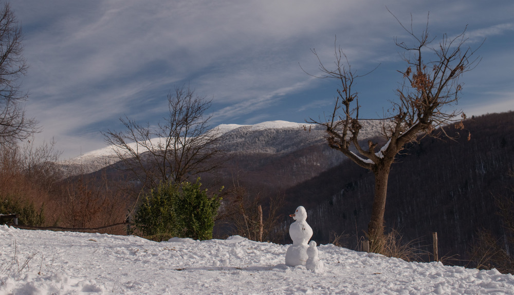 Фотографія Зимова фантазія / Крутий Николай / photographers.ua