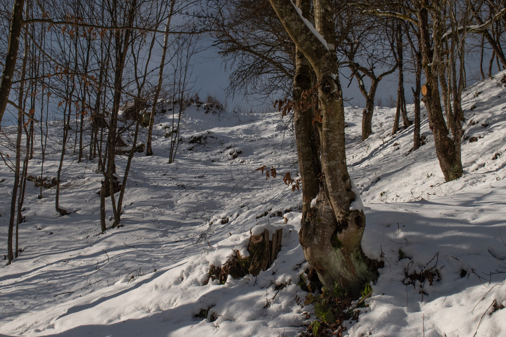 Фотографія гарний настрій ... / Крутий Николай / photographers.ua