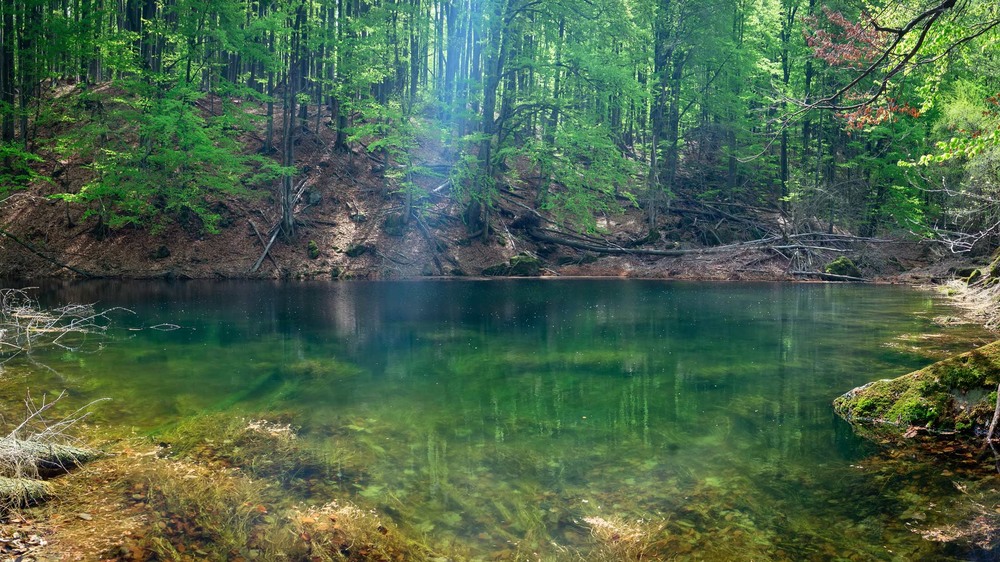 Фотографія Лісове озеро з талою водою / Andrew Zubenko / photographers.ua