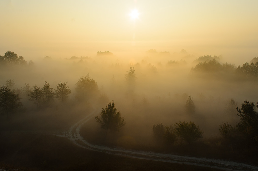 Фотографія Солнце взойдет... / Руслан Савченко / photographers.ua