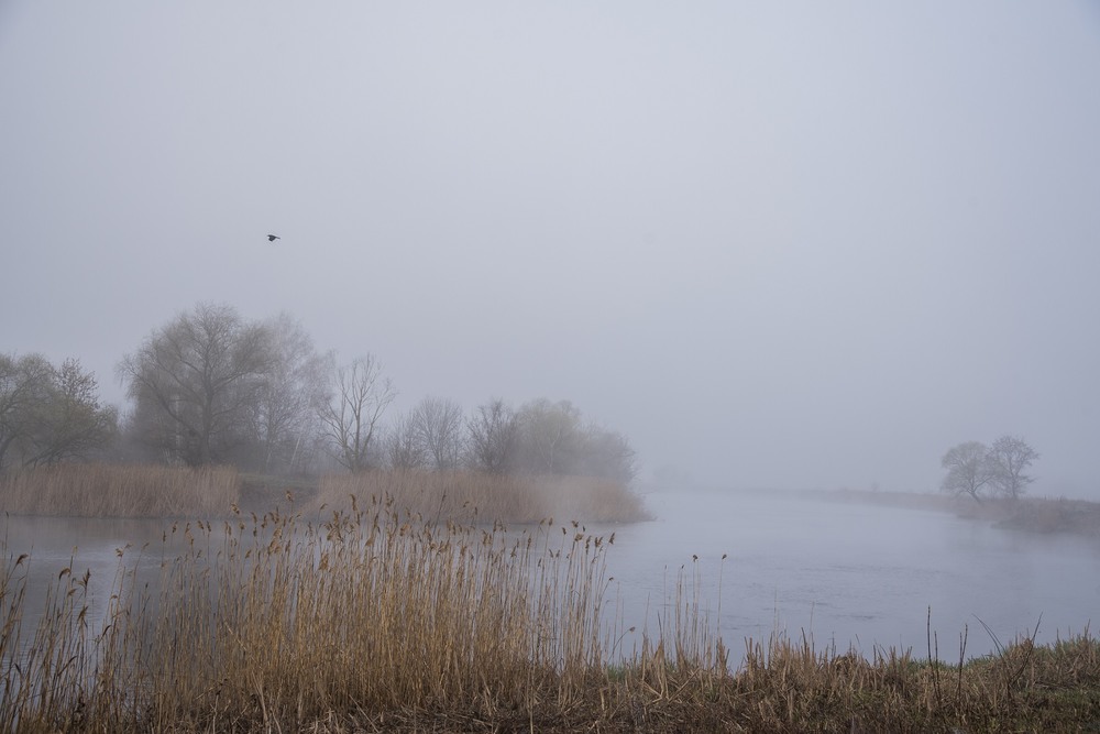 Фотографія рядом с рекой туман / Fedorov Stanislav / photographers.ua