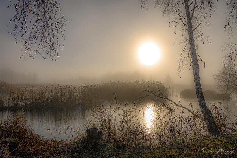 Фотографія Туманний ранок / Akinak Sandro / photographers.ua