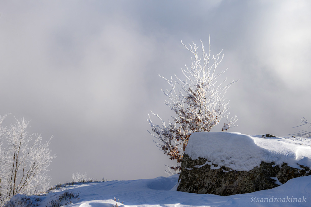 Фотографія winter mood / Akinak Sandro / photographers.ua