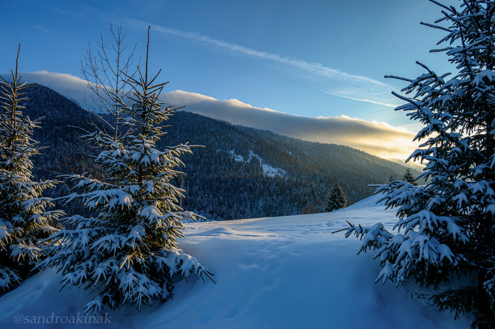 Фотографія Winter morning in the Carpathian mountains / Akinak Sandro / photographers.ua