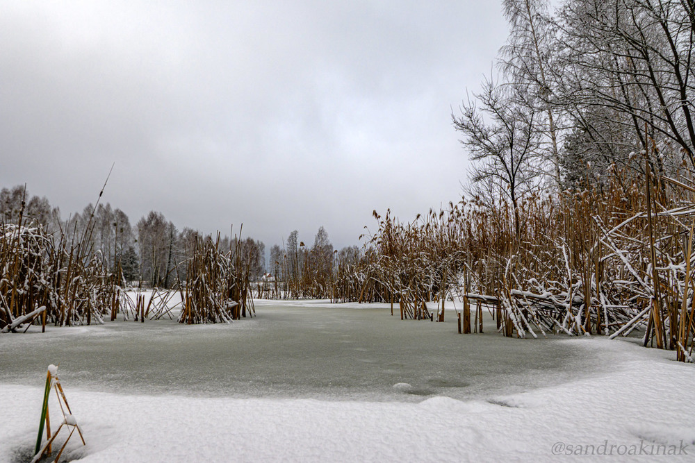 Фотографія Еще рано зиму хоронить.. / Akinak Sandro / photographers.ua