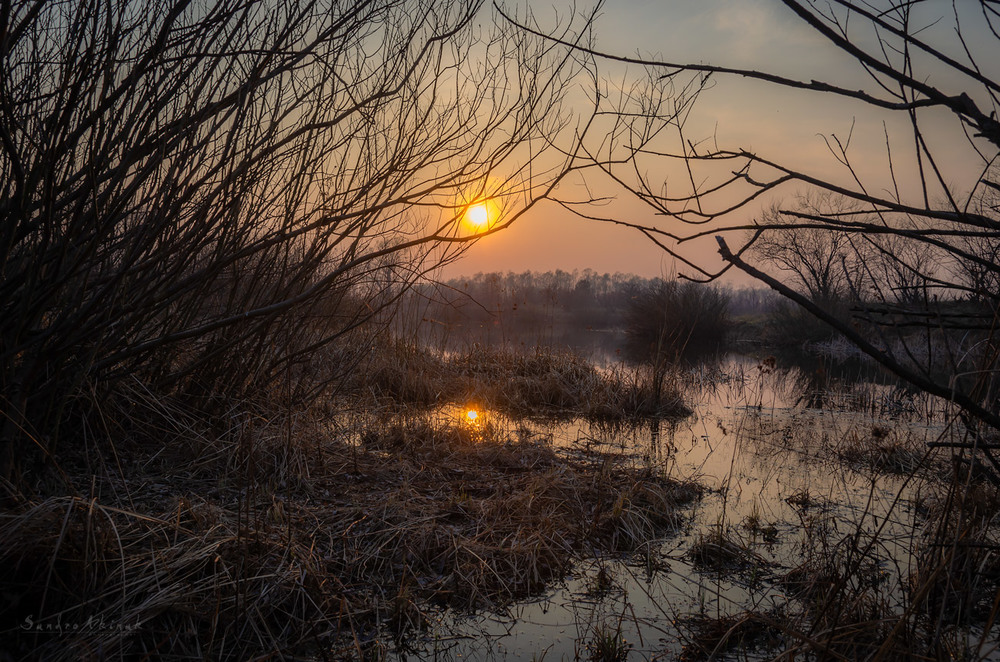 Фотографія Містичне болото / Akinak Sandro / photographers.ua