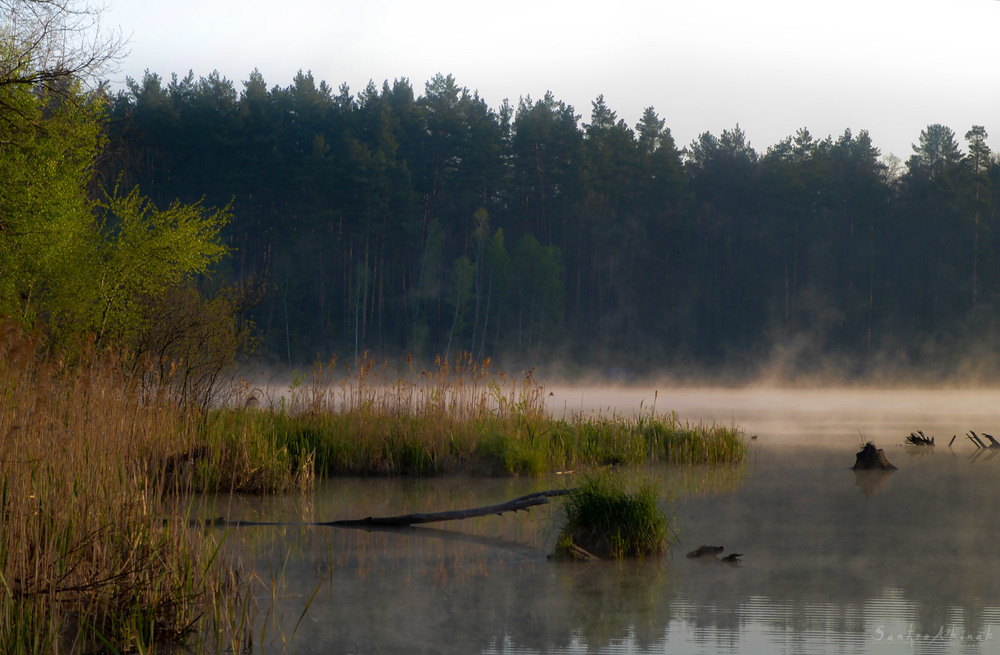 Фотографія Ранковий туман / Akinak Sandro / photographers.ua