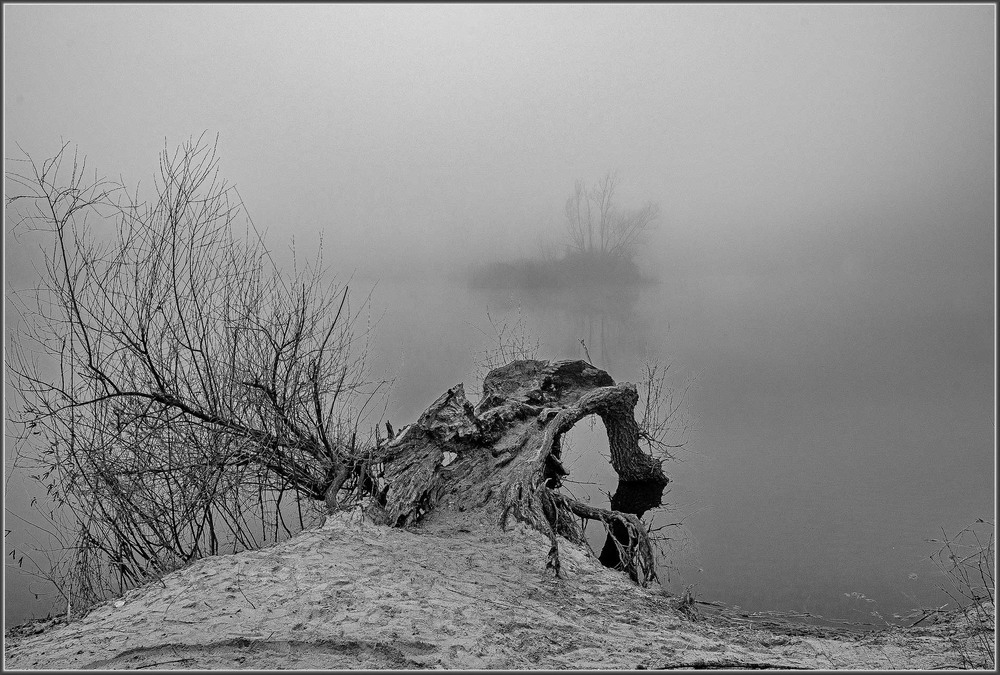 Фотографія Это ива, она живая. Просто сейчас зима ... / Олександр Пасечник / photographers.ua