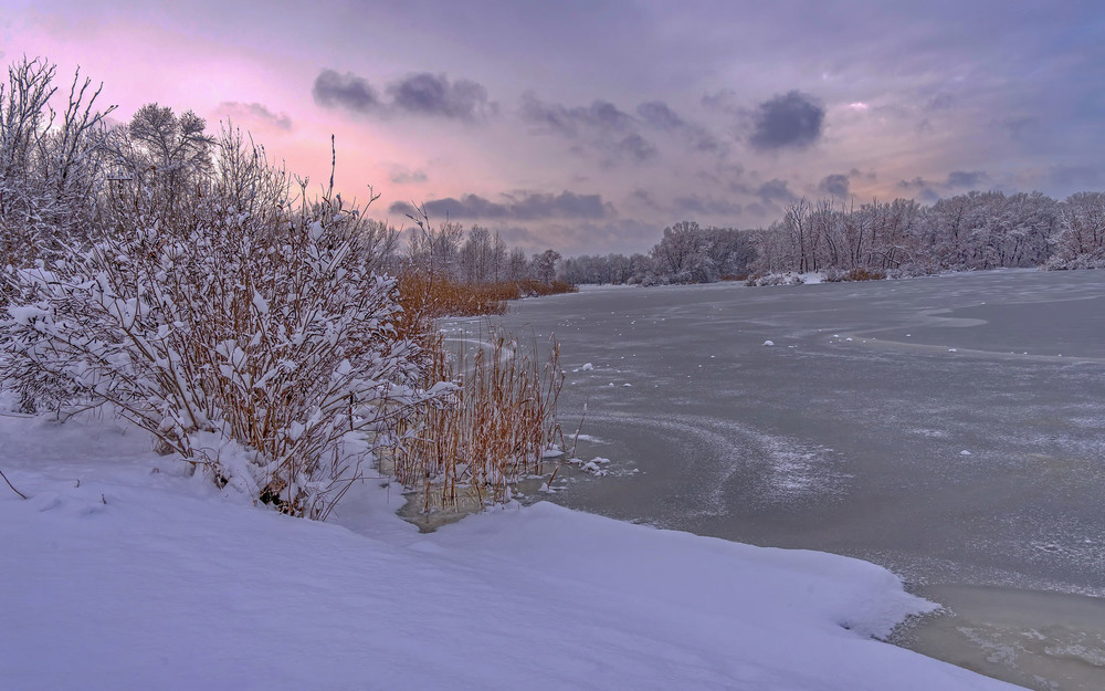 Фотографія Зима еще не пришла, все еще впереди ... / Олександр Пасечник / photographers.ua