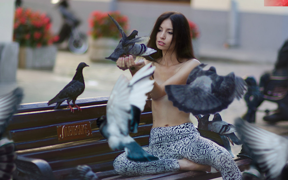 Фотографія LOVE 'n' DOVES / Andrew Lucas / photographers.ua