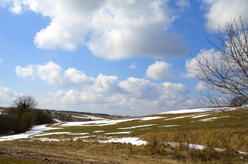 Фотографія В очікуванні весни / Ігор Цебрик / photographers.ua