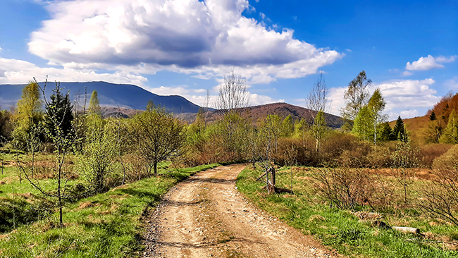 Фотографія ДОРОГА В ГОРИ / Зеновій Кулик / photographers.ua