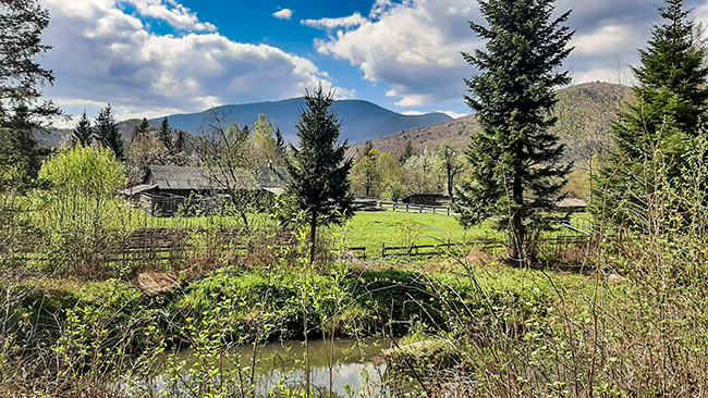 Фотографія КАРПАТИ / Зеновій Кулик / photographers.ua